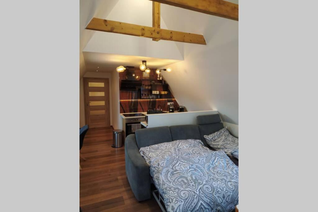 Apartman Atelier Vary V Nove Zrekonstruovanem Dome การ์โลวีวารี ภายนอก รูปภาพ
